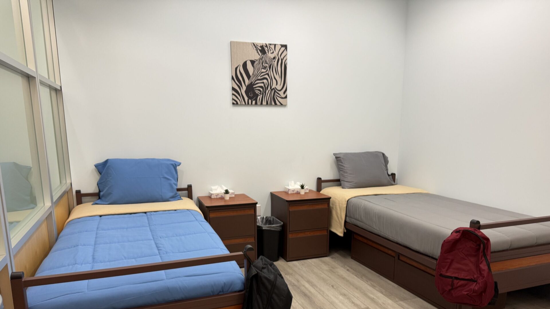 Safe STAY LGBTQ+ housing for youth