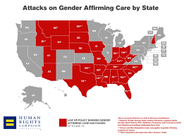 Supreme Court Ruling US vs. Skrmetti: Attacks on Gender Affirming Care by State