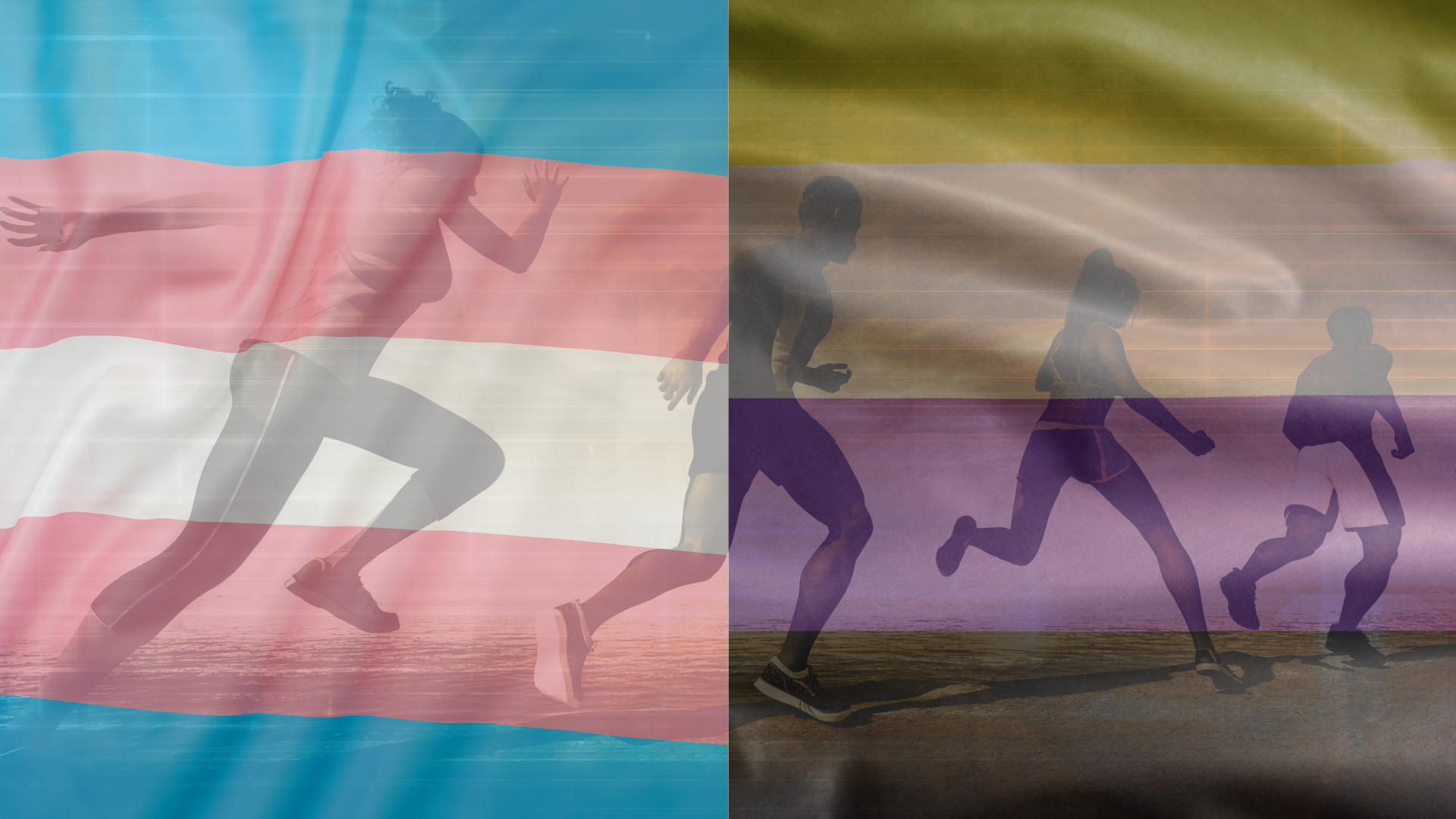 Protect Transgender and Nonbinary Athletes