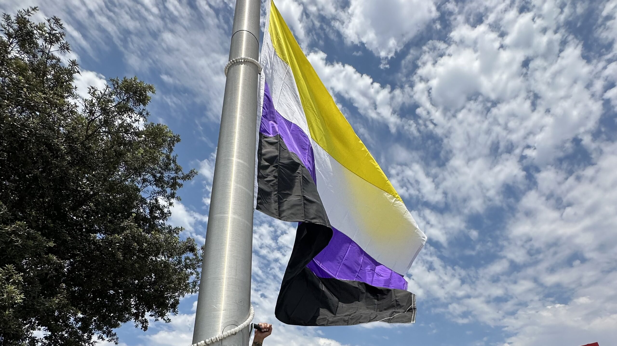 Nonbinary Peoples Day Flag